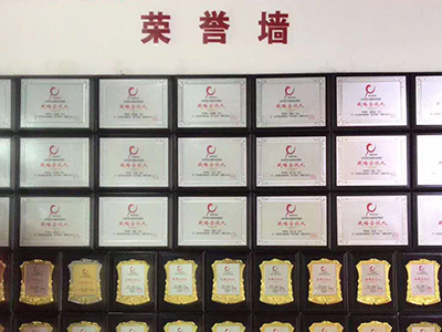 打造多維扶持模式